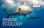 SSI Shark Ecology